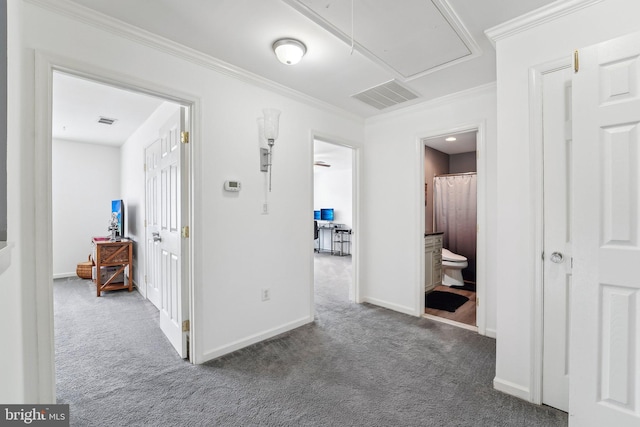 806 209th St, Pasadena, MD 21122 - hallway with attic access, carpet, baseboards, and ornamental molding