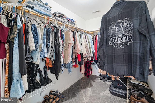 806 209th St, Pasadena, MD 21122 - spacious closet with carpet