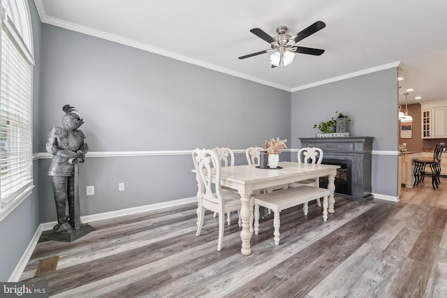 806 209th St, Pasadena, MD 21122 - dining room featuring wood finished floors, a ceiling fan, healthy amount of natural light, a fireplace with flush hearth, and ornamental molding