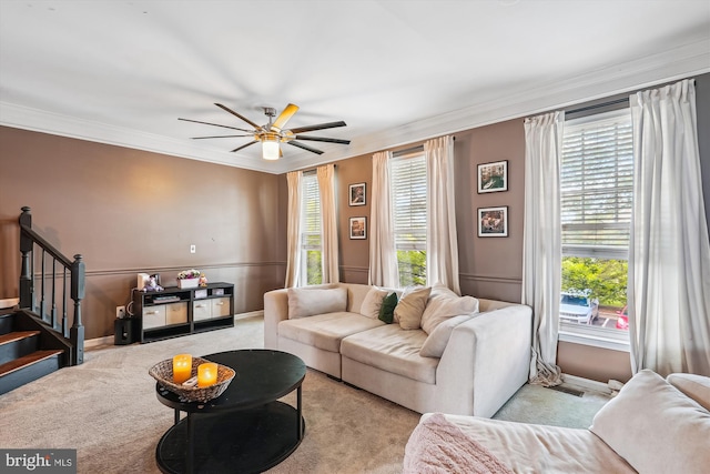 12205 Desoto Falls Ct, Bristow, VA 20136 - living room with carpet floors, a ceiling fan, stairs, crown molding, and baseboards