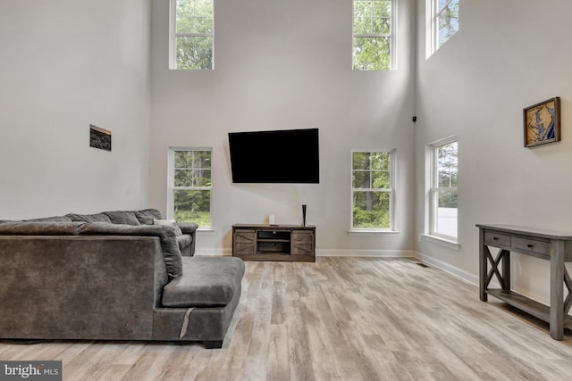 40 Doc Ct, Felton, DE 19943 - living area featuring a high ceiling, baseboards, wood finished floors, and healthy amount of natural light