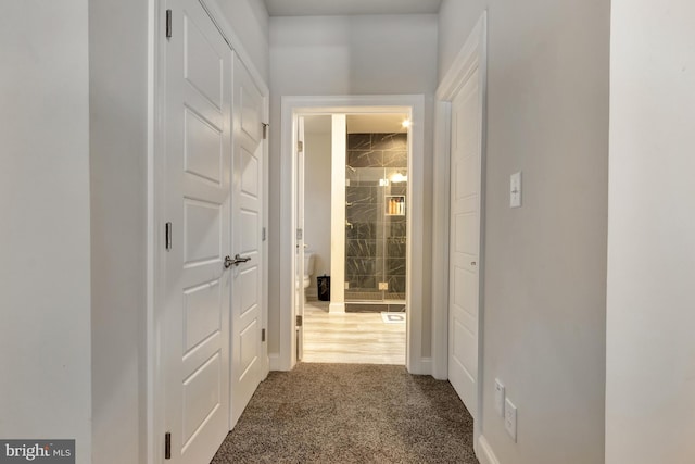 40 Doc Ct, Felton, DE 19943 - hall with carpet floors and baseboards