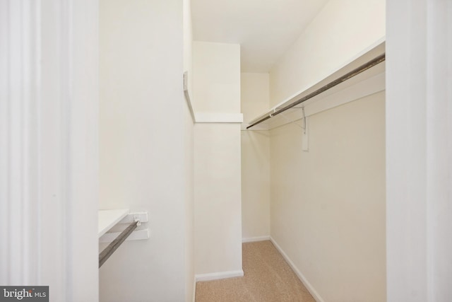 spacious closet with light carpet