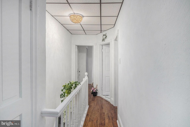 4558 Unruh Ave, Philadelphia, PA 19135 - hallway featuring dark wood-style flooring, a drop ceiling, baseboards, and an upstairs landing