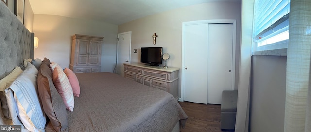 bedroom featuring a closet and wood finished floors