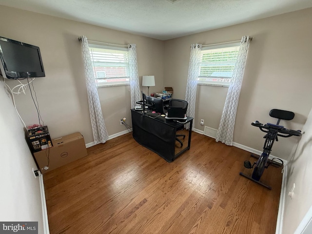 interior space with baseboards, plenty of natural light, and wood finished floors