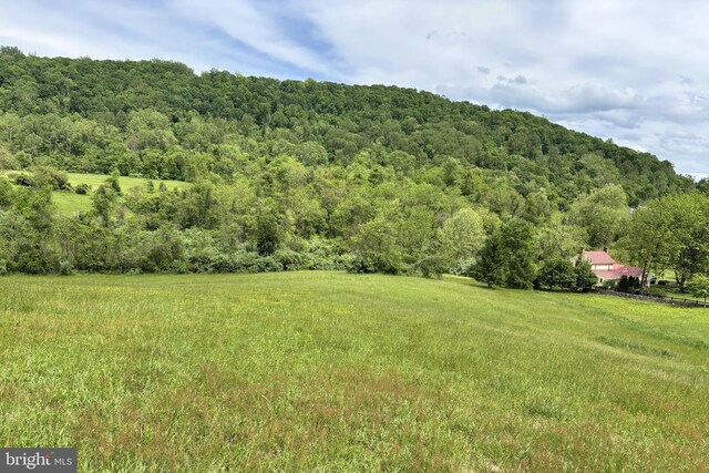 509 Ben Venue Rd, Flint Hill, VA 22627 - mountain view with a forest
