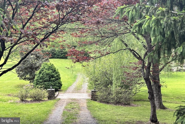 509 Ben Venue Rd, Flint Hill, VA 22627 - view of community with dirt driveway and a yard