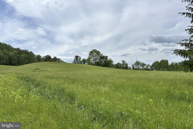 509 Ben Venue Rd, Flint Hill, VA 22627 - view of local wilderness
