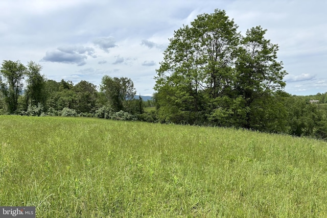 509 Ben Venue Rd, Flint Hill, VA 22627 - view of local wilderness