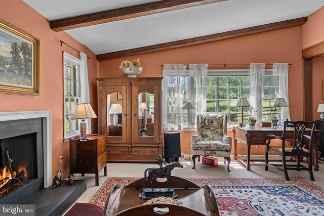 509 Ben Venue Rd, Flint Hill, VA 22627 - living area featuring a lit fireplace and carpet