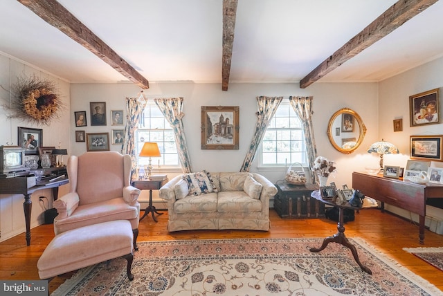 71 Harlingen Rd, Belle Mead, NJ 08502 - living room featuring a baseboard radiator, beam ceiling, and wood finished floors