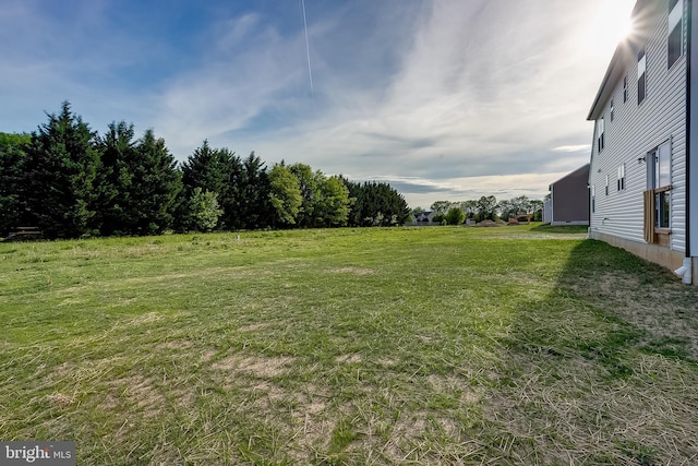view of yard