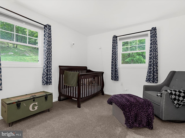 5306 Stone Rd, Frederick, MD 21703 - bedroom with multiple windows and carpet floors