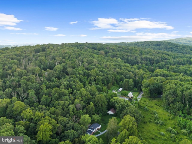 5306 Stone Rd, Frederick, MD 21703 - bird's eye view of a forest