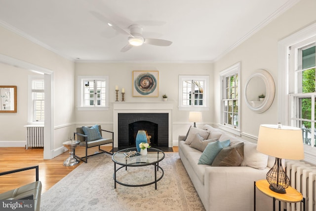 living room with wood finished floors, a ceiling fan, a brick fireplace, crown molding, and radiator heating unit