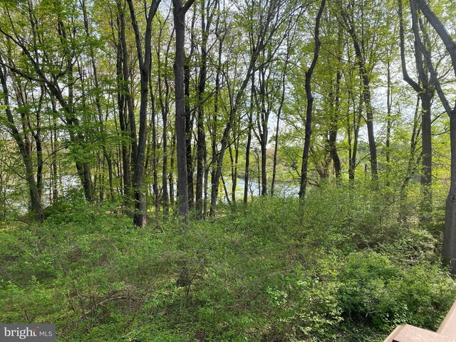 19208 Cross Ridge Dr, Germantown, MD 20874 - view of woods