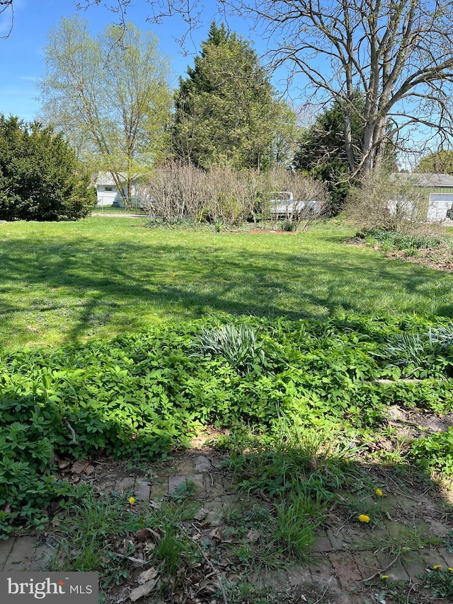 view of yard