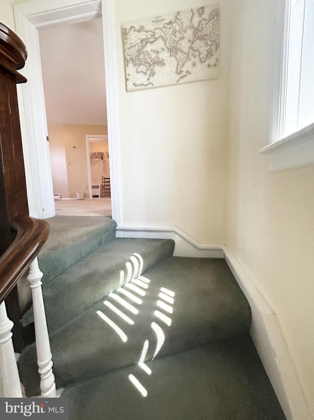 interior space with carpet