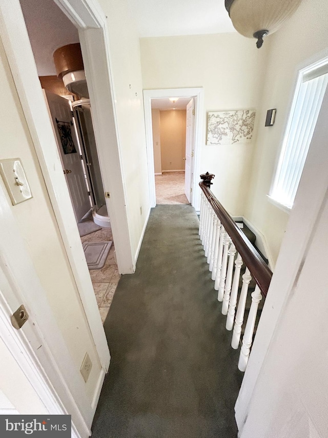 hallway featuring baseboards and carpet floors