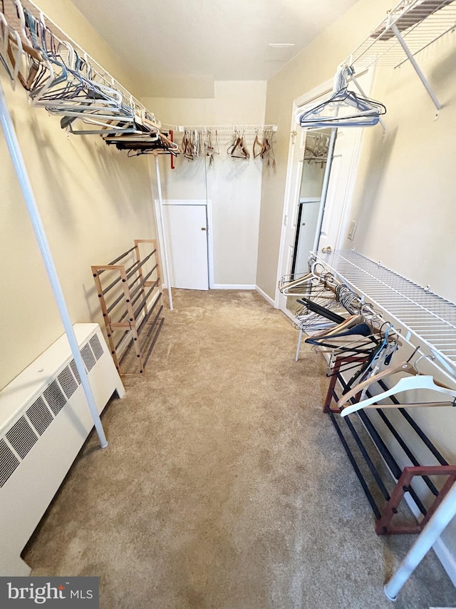 spacious closet featuring radiator heating unit and carpet floors