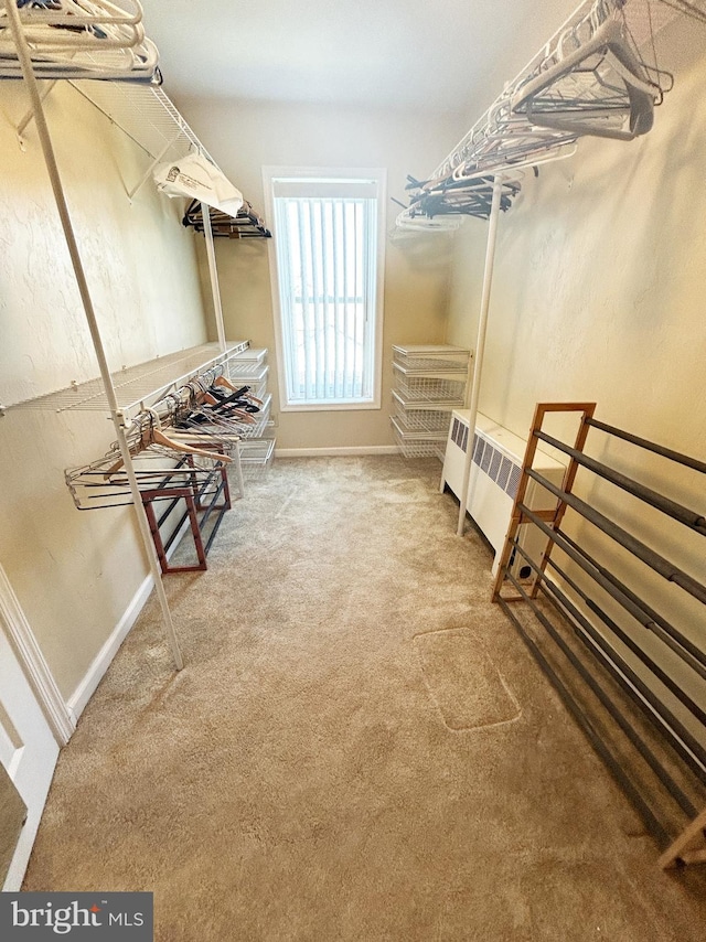 spacious closet featuring carpet floors