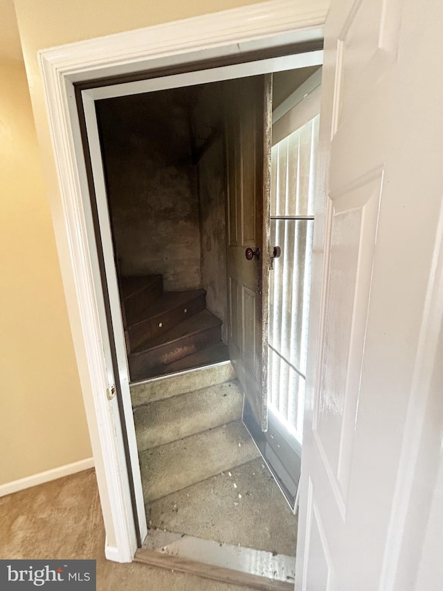 staircase with carpet flooring and baseboards