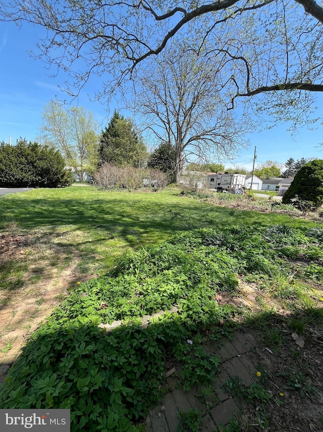 view of yard