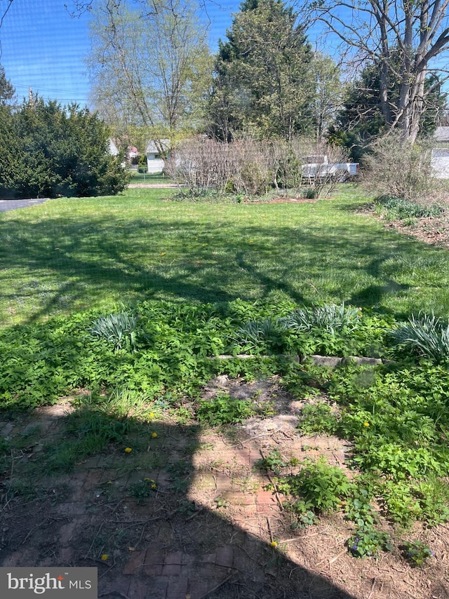view of yard