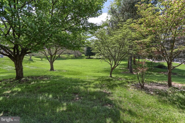 view of grassy yard