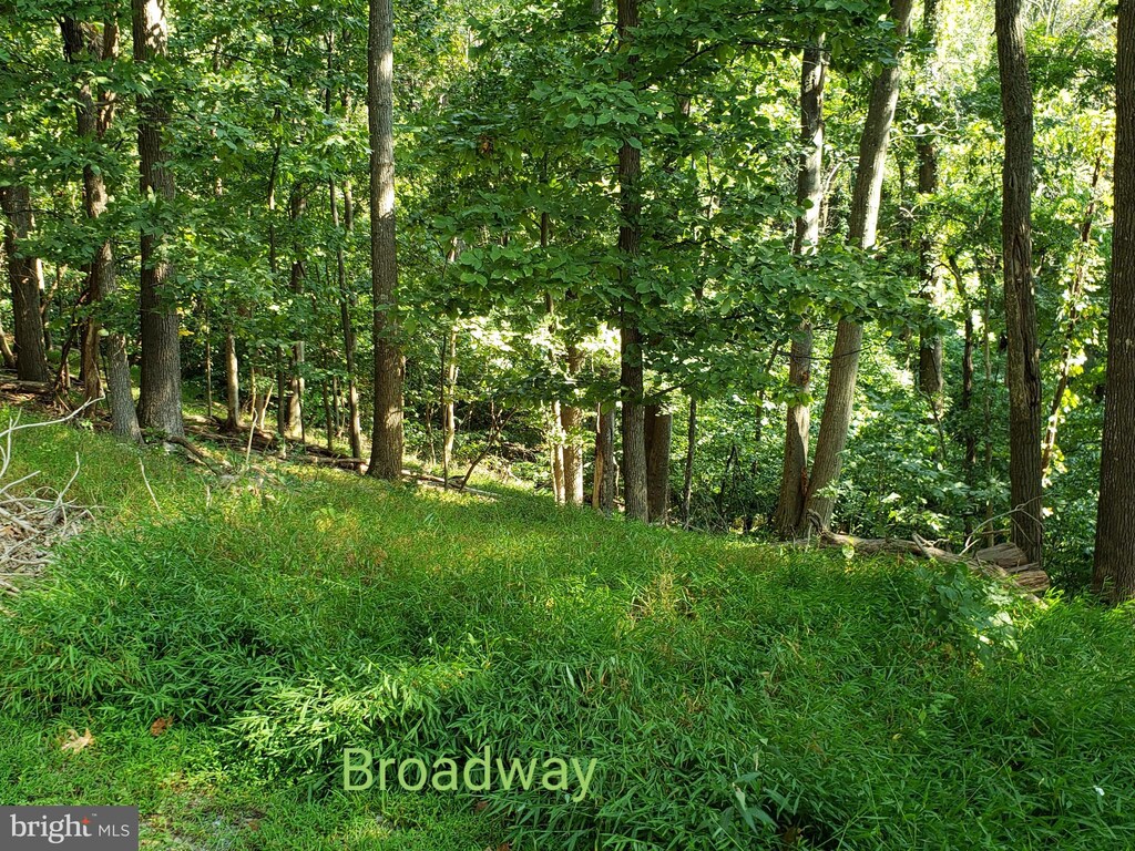 LOT26 Stecher Ct, Linden, VA 22642