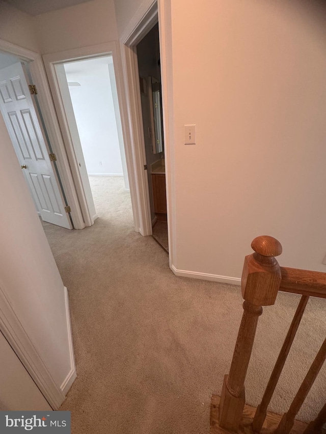 515 Primus Ct, Frederick, MD 21703 - hallway with light colored carpet and baseboards