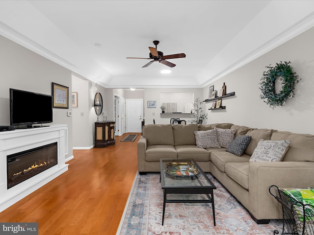 living room with ceiling fan, light wood-style floors, crown molding, a glass covered fireplace, and baseboards