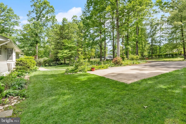 11080 Burwell Rd, Nokesville, VA 20181 - view of green lawn
