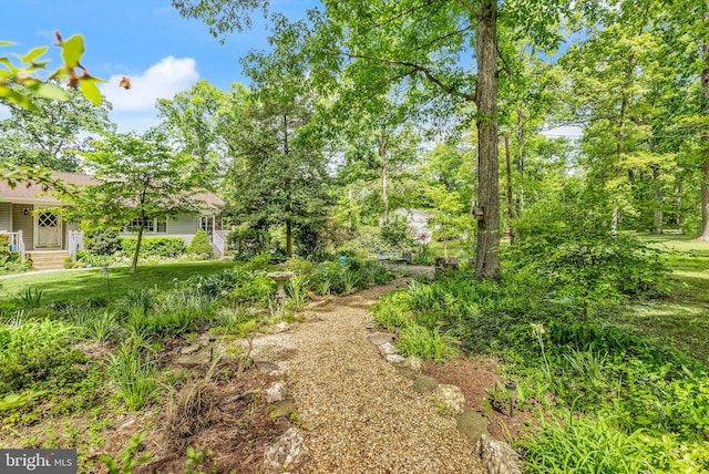 11080 Burwell Rd, Nokesville, VA 20181 - view of green lawn