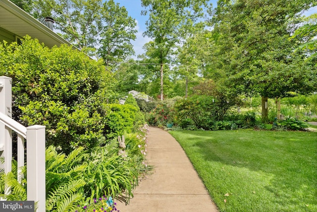 11080 Burwell Rd, Nokesville, VA 20181 - view of green lawn featuring view of scattered trees