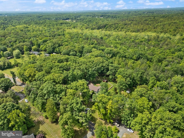 11080 Burwell Rd, Nokesville, VA 20181 - drone / aerial view of a forest