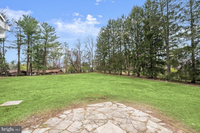 9828 Watts Branch Dr, Rockville, MD 20850 - view of green lawn