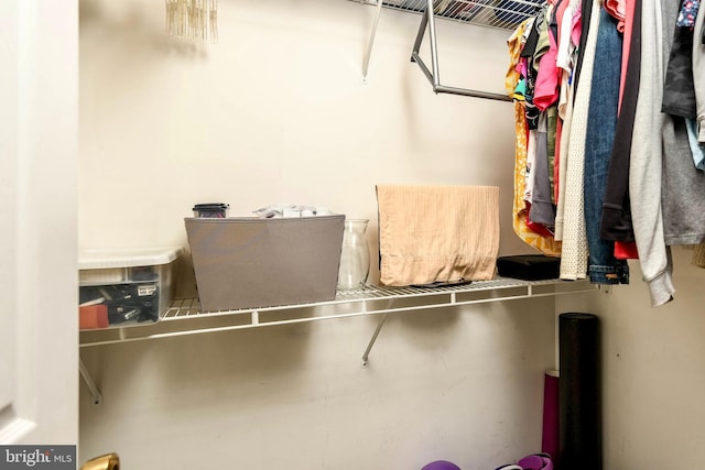 view of spacious closet