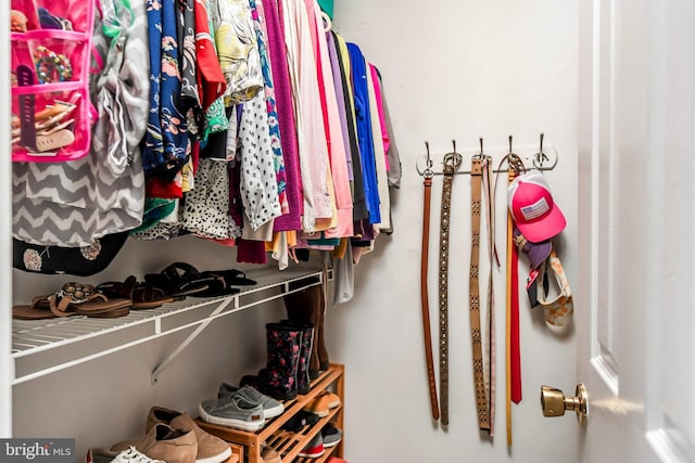 view of spacious closet