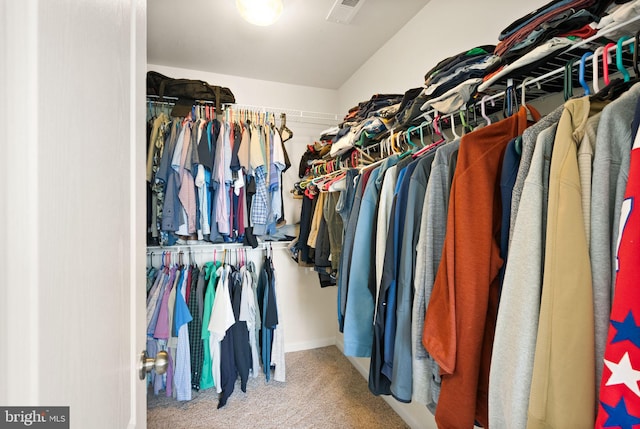 13859 Barrymore Ct, Gainesville, VA 20155 - walk in closet with carpet floors