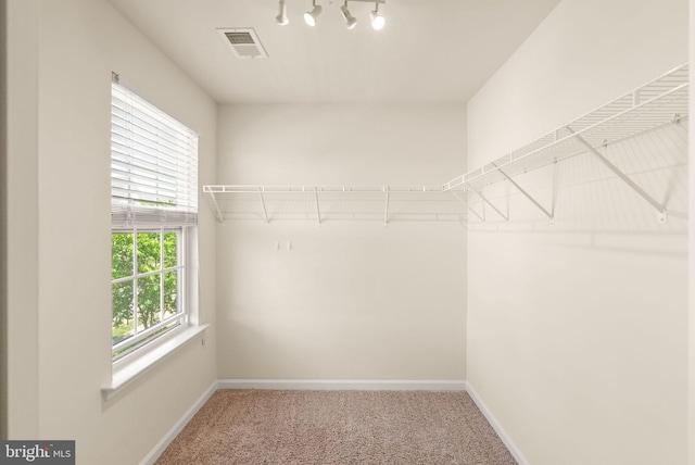 13859 Barrymore Ct, Gainesville, VA 20155 - walk in closet featuring carpet flooring