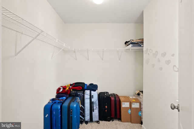 13859 Barrymore Ct, Gainesville, VA 20155 - walk in closet with carpet floors