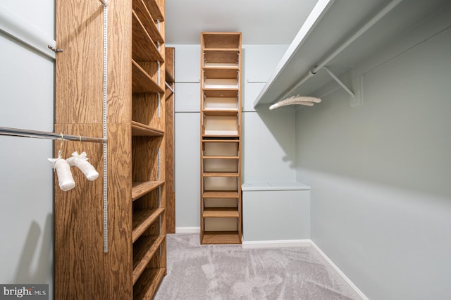 walk in closet featuring carpet floors