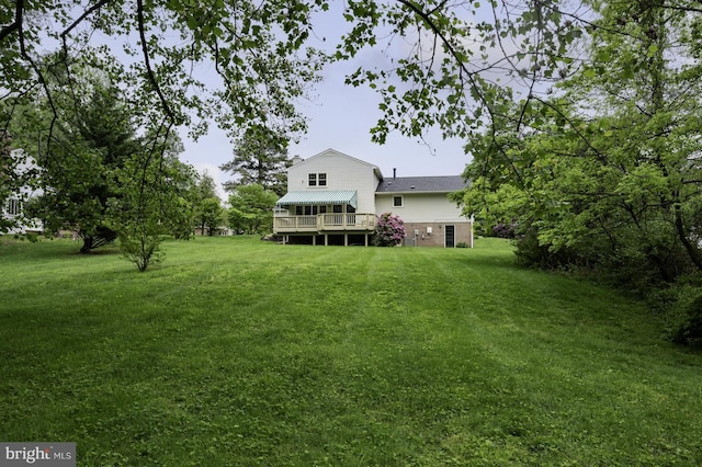 view of yard