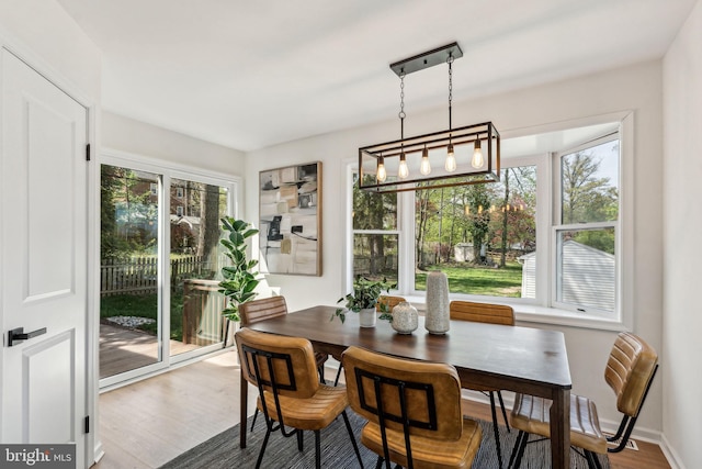 dining room with wood finished floors