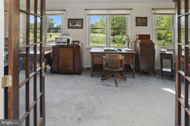 home office with carpet