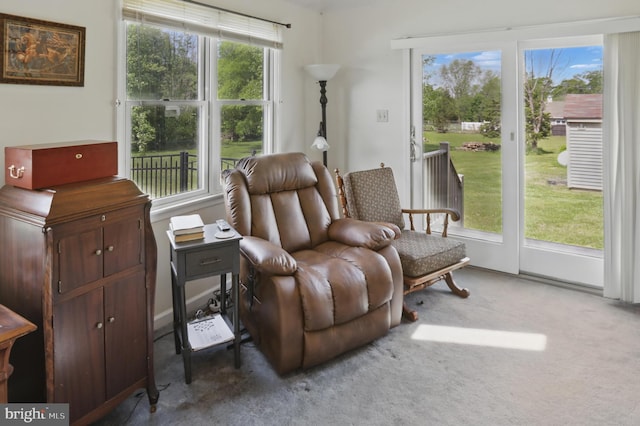 living area featuring carpet floors