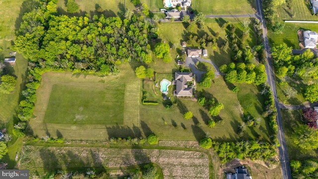 drone / aerial view