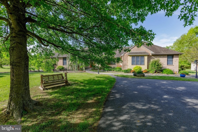 obstructed view of property with brick siding and a front yard